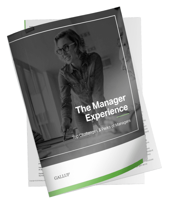 The-Manager-Experience