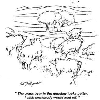 Lush green grass covering the meadow, illustrating how to be a better manager.